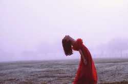 Love is Many Things...