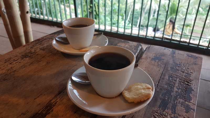 Luwak Coffee - A Poopelicious Coffee From Bali - The Global Passenger