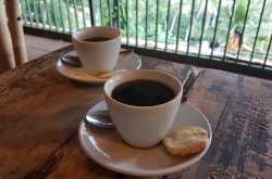 Luwak Coffee - A Poopelicious Coffee From Bali - The Global Passenger