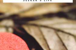 Magic Moments: A Gratitude List: The Sweetest Thing in a Seekers\