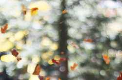 Magic Moments: The One To Leave First