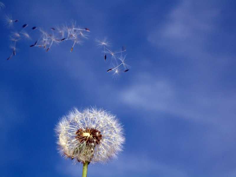 Main Duniya Bhula Leti Hun