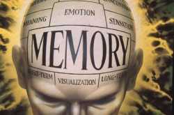 Mandela Effect - Debunked : 40 Explanations and Possible Theories