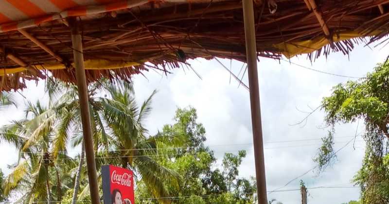 Many A Feni At Spicy Bar, Carmona - Zen And The Art Of Paddy Field Bathing