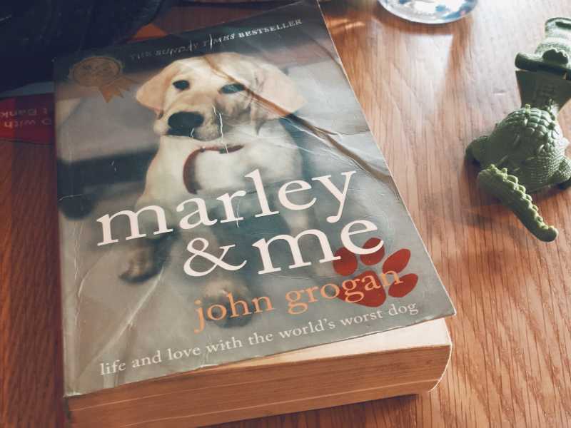 Marley And Me - Book And Movie