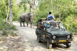 Meeting The Tribals In Corbett National Park