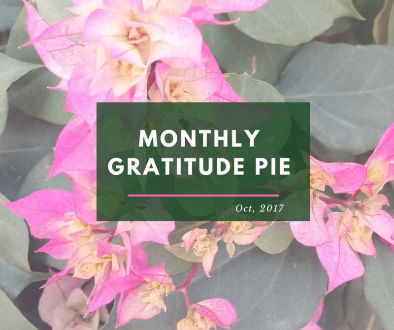 Monthly Gratitude Pie : OCTOBER