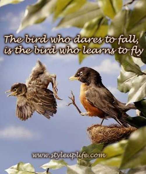 Motivational Quote Monday : The Bird Who Dares To Fall, Is The Bird Who Learns To Fly 