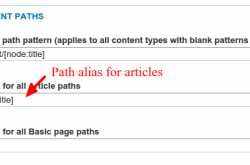 Multiple URL alias for a node in pathauto - drupal 7