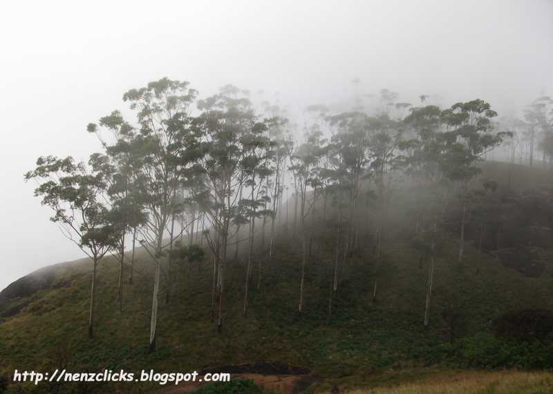 Munnar