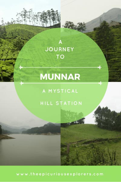 Munnar -A Mystical Hill Station In God’s Own Country - The Epicurious Explorers