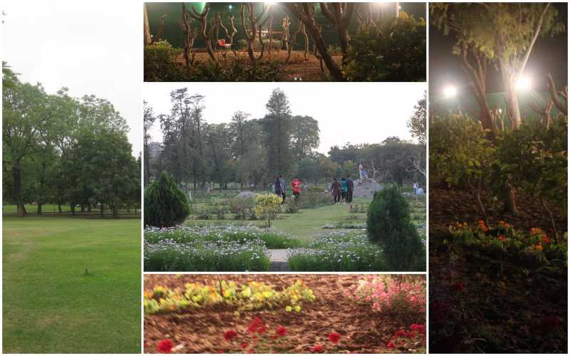 Musical Vibrations!!