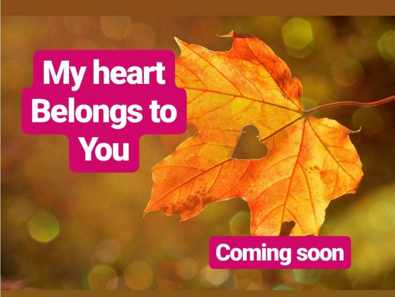 My ❤ Belongs To You