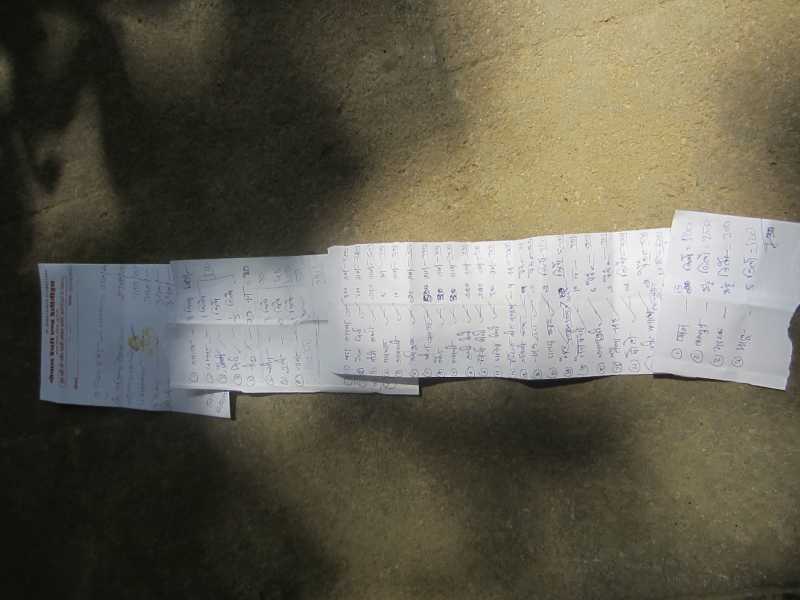 My Big Fat Mungeli Birthday