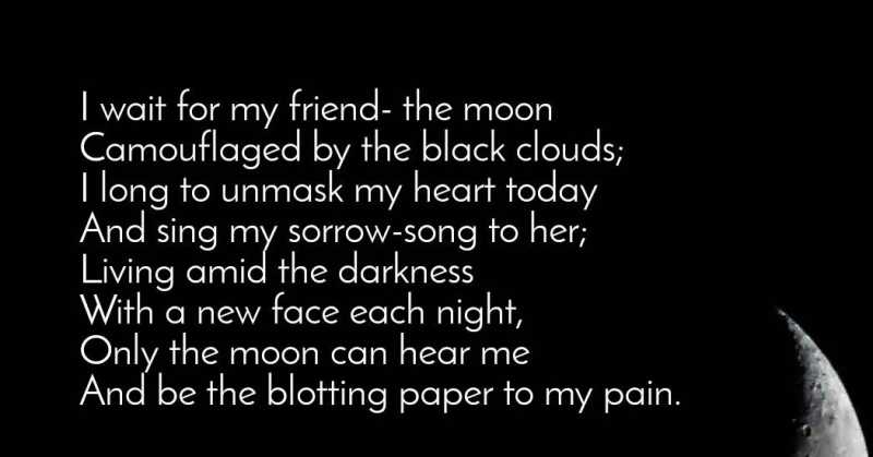 My Friend -the Moon (Sunshine And Wildflowers)