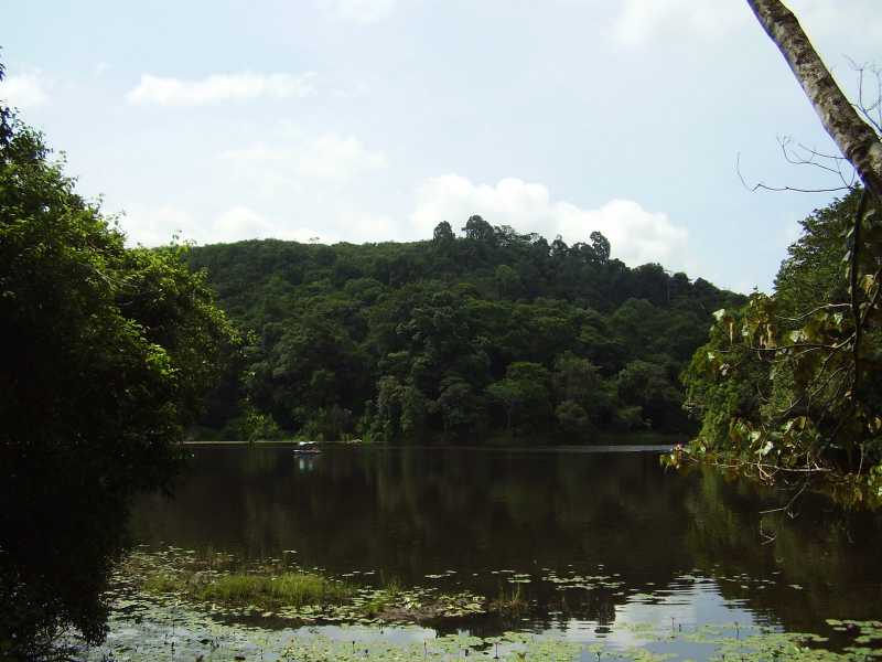 My Second Trip To Wayanad- Edakkal Caves.