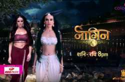 Naagin 3 Latest News: Vish Leaves Vikrant for Bela, Open Challenge for Vyom