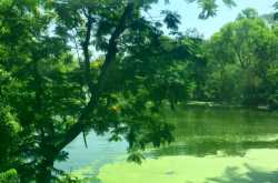 Nano-fied! The Gen -X experience!