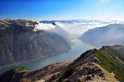 Nature At Its Best: Plat Trees To Save Our Planet & Make Beautiful Tomarrow