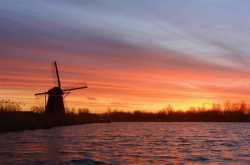 Nature At Its Best: Seabeds At SunSet