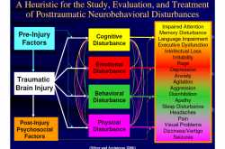 Neuropsychiatric Outcomes Of Traumatic Brain Injury» UBRF: UberBrain Research Frontier