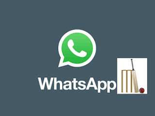 New Cricket Sticker On Whatsapp|2019