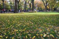 New York in November - Fall colours at Central park and Bethesda Terrace 