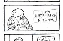 New principal of IIN