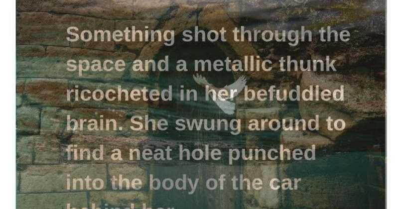 No Safe Zone - By Adite Banerjie - Cover Reveal