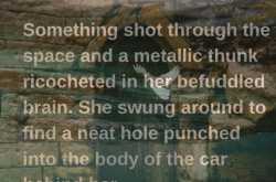 No Safe Zone - By Adite Banerjie - Cover Reveal