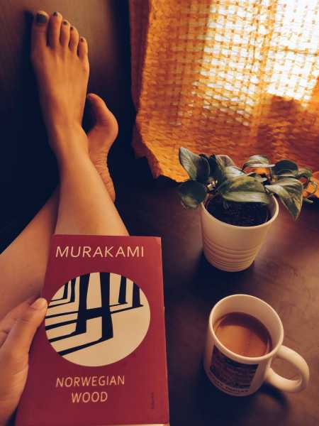 Norwegian Wood || Book Review - Life And Its Experiments