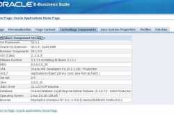 OAF-How To Identify Correct Version Of jDeveloper!