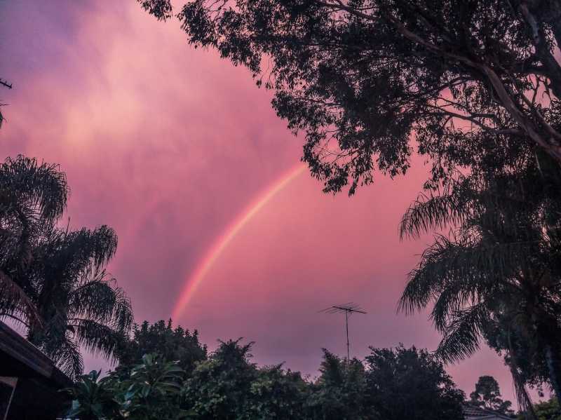 Of Food Robot And Killer Sky | Lifestyle