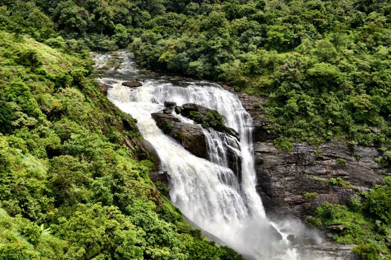 Of Intoxicating Coffees And Green Pastures In Coorg. - Swati Vijayan