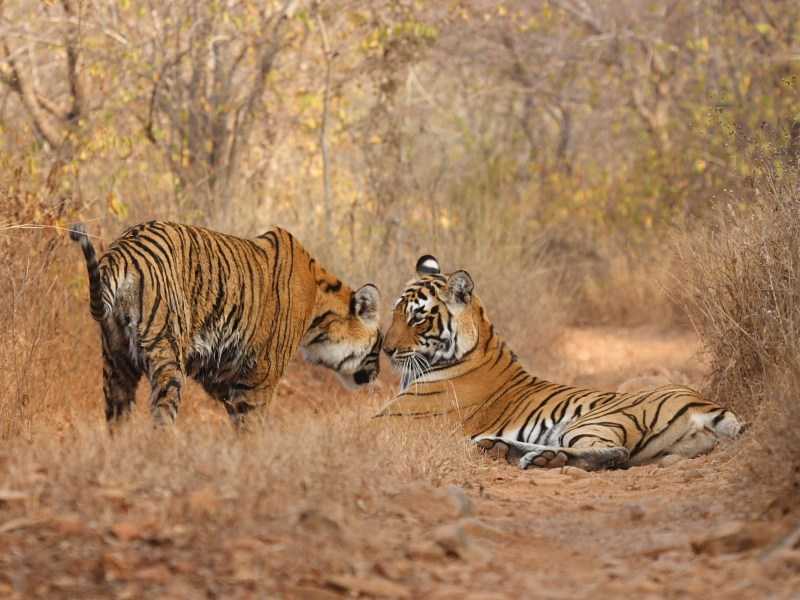 Of Photo Tours And Mentors