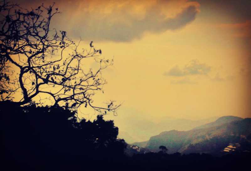 Of Quora, Ruskin Bond And Prophecies !