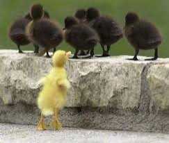 Of Opinions And Biases!!!