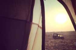 Of white and gold journeys.