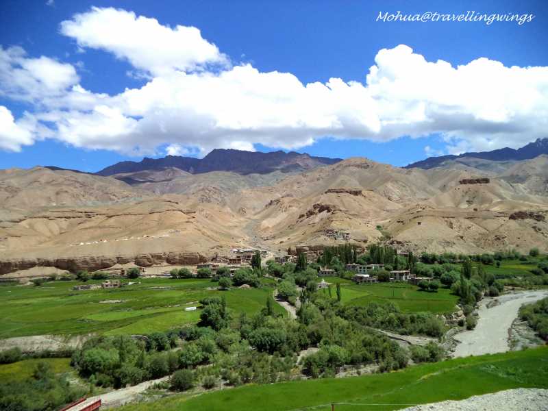 Off To Ladakh: Mulbek, Namik La, Fotu La,Lamayaru, Nimmu