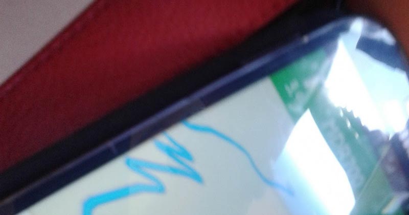 Offbeat- Long Drive Via 36 Hairpin Bends Uphill: Mysore - Ooty And Beyond