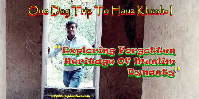 One Day Trip To Hauz Khash I : Exploring Forgotten Heritage Of Muslim Dynasty