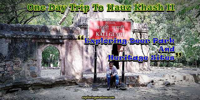 One Day Trip To Hauz Khash II - Exploring Deer Park And Heritage Sites