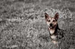 One Frame Stories! Frame 12