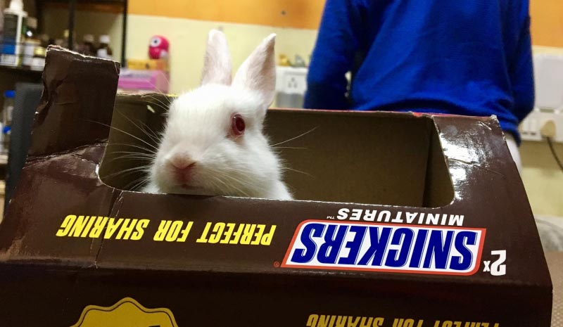 Owning Each Other’s Madness.