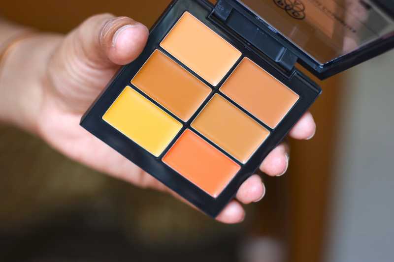 PAC Concealer Palettes Go Light & Go Deep Review Swatches Photos