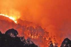 Page not found | செய்திகள், விமர்சனம், தொகுப்புகள், வீடியோ