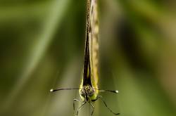 Page not found – Gibberish