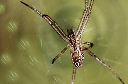 Page not found – Gibberish