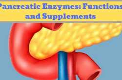 Pancreatic enzymes: function, deficiency and supplements - Gyan Share