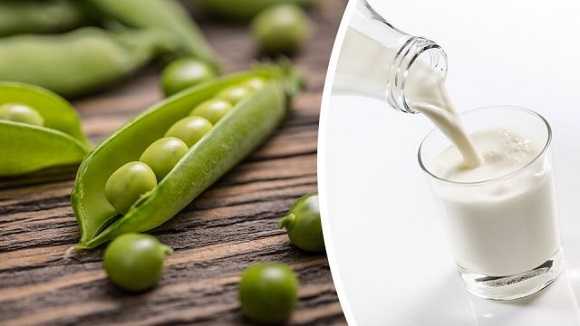 Pea Milk - Is It Better Than Dairy Milk? | Indian Weight Loss Blog
